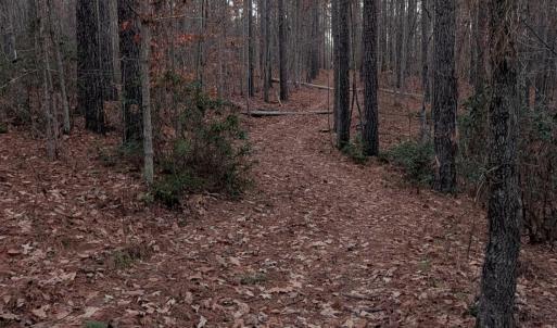 Photo #13 of 4374 Tye River, Amherst, VA 10.0 acres