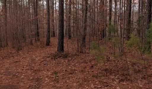 Photo #16 of 4374 Tye River, Amherst, VA 10.0 acres