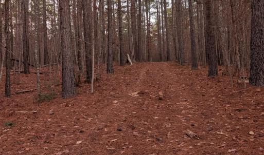Photo #15 of 4374 Tye River, Amherst, VA 10.0 acres