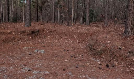 Photo #7 of 4374 Tye River, Amherst, VA 10.0 acres