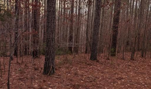 Photo #14 of 4374 Tye River, Amherst, VA 10.0 acres