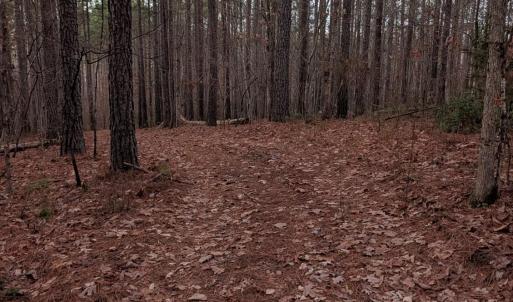 Photo #12 of 4374 Tye River, Amherst, VA 10.0 acres