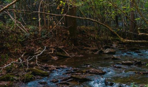 Photo #5 of 4374 Tye River, Amherst, VA 10.0 acres