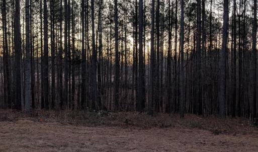 Photo #9 of 4374 Tye River, Amherst, VA 10.0 acres