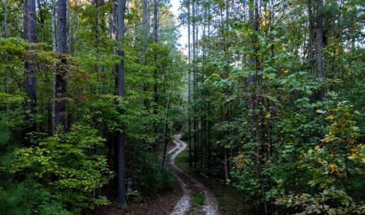 Photo #2 of 4374 Tye River, Amherst, VA 10.0 acres