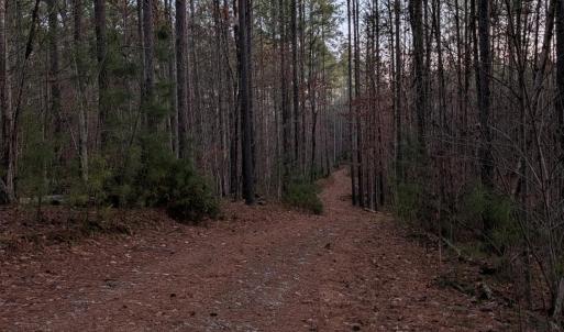 Photo #6 of 4374 Tye River, Amherst, VA 10.0 acres