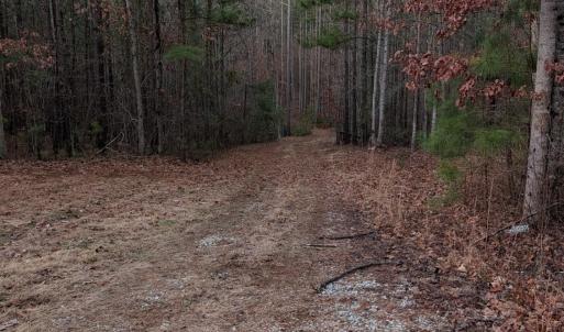 Photo #17 of 4374 Tye River, Amherst, VA 10.0 acres