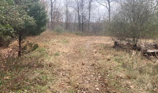Photo #6 of 1147 Stratford Road, Lynchburg, VA 9.5 acres