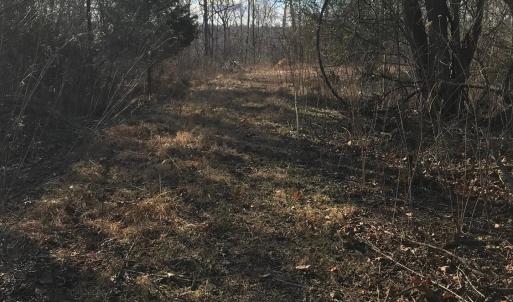 Photo #11 of 1147 Stratford Road, Lynchburg, VA 9.5 acres