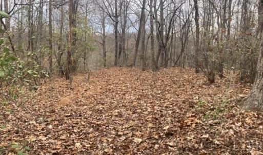 Photo #2 of 1147 Stratford Road, Lynchburg, VA 9.5 acres