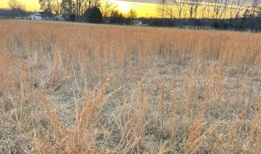 Photo #4 of Sugar Hill Road, Brookneal, VA 10.0 acres