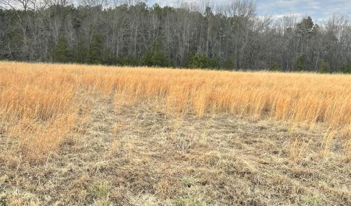 Photo #6 of Sugar Hill Road, Brookneal, VA 10.0 acres