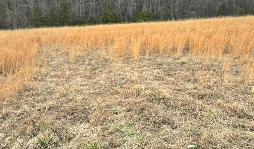 Photo #5 of Sugar Hill Road, Brookneal, VA 10.0 acres