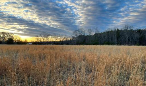 Photo #11 of Sugar Hill Road, Brookneal, VA 10.0 acres
