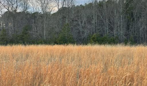 Photo #9 of Sugar Hill Road, Brookneal, VA 10.0 acres