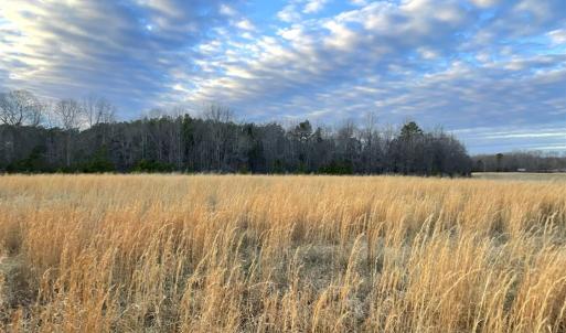 Photo #1 of Sugar Hill Road, Brookneal, VA 10.0 acres