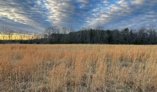 Photo #10 of Sugar Hill Road, Brookneal, VA 10.0 acres
