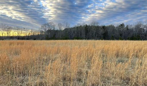 Photo #2 of Sugar Hill Road, Brookneal, VA 10.0 acres