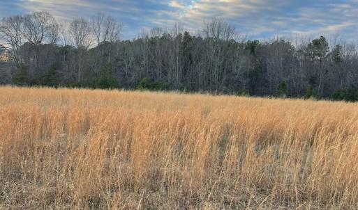 Photo #8 of Sugar Hill Road, Brookneal, VA 10.0 acres