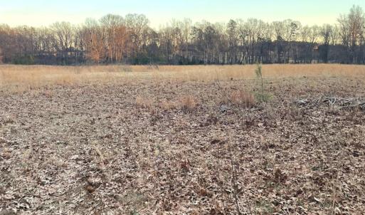 Photo #7 of Gilliam Road, Brookneal, VA 3.0 acres