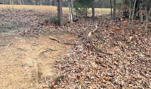 Photo #8 of Gilliam Road, Brookneal, VA 3.0 acres