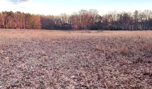 Photo #4 of Gilliam Road, Brookneal, VA 3.0 acres