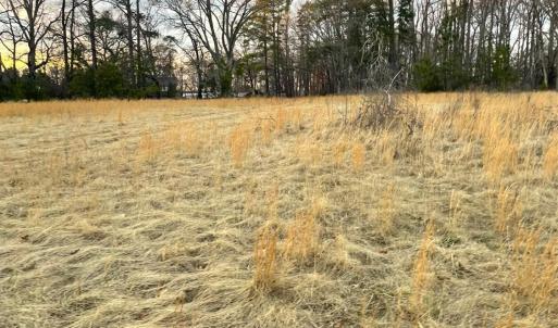 Photo #2 of Gilliam Road, Brookneal, VA 3.0 acres