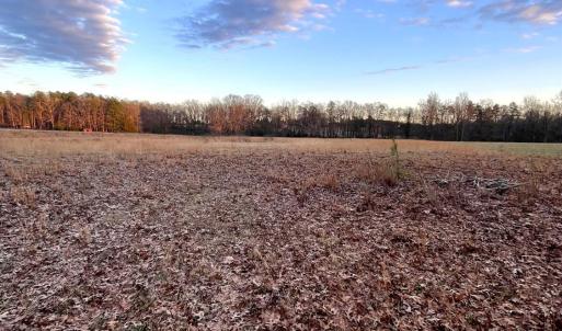Photo #3 of Gilliam Road, Brookneal, VA 3.0 acres