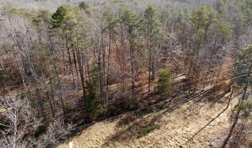 Photo #18 of Salem Road, Schuyler, VA 4.8 acres
