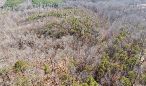 Photo #26 of Salem Road, Schuyler, VA 4.8 acres