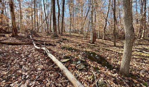 Photo #33 of Salem Road, Schuyler, VA 4.8 acres
