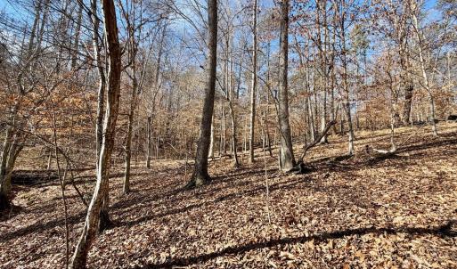 Photo #37 of Salem Road, Schuyler, VA 4.8 acres