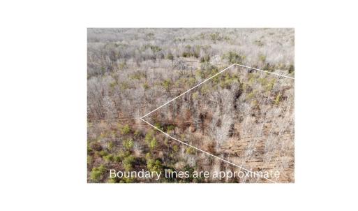 Photo #5 of Salem Road, Schuyler, VA 4.8 acres