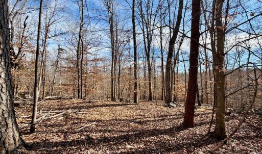 Photo #39 of Salem Road, Schuyler, VA 4.8 acres