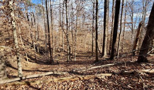 Photo #32 of Salem Road, Schuyler, VA 4.8 acres