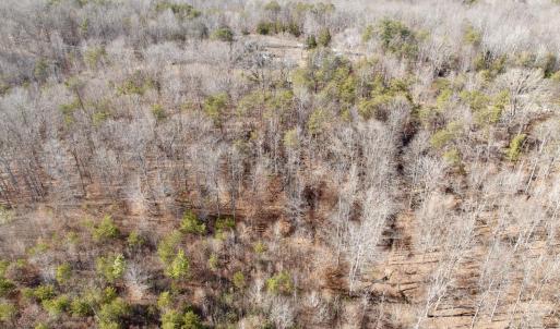 Photo #20 of Salem Road, Schuyler, VA 4.8 acres