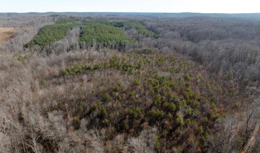 Photo #14 of Salem Road, Schuyler, VA 4.8 acres