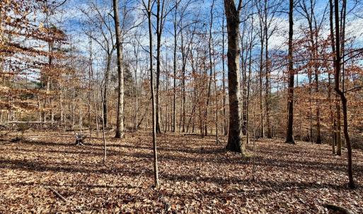 Photo #9 of Salem Road, Schuyler, VA 4.8 acres