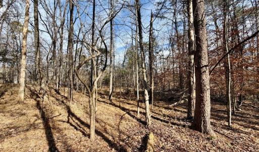 Photo #17 of Salem Road, Schuyler, VA 4.8 acres