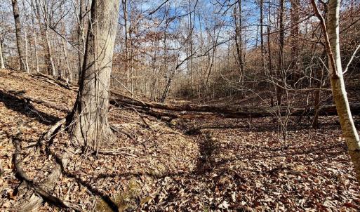 Photo #36 of Salem Road, Schuyler, VA 4.8 acres