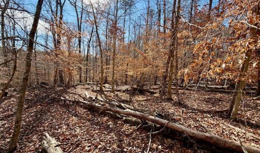 Photo #38 of Salem Road, Schuyler, VA 4.8 acres