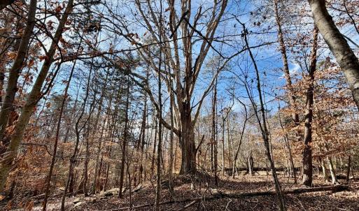 Photo #3 of Salem Road, Schuyler, VA 4.8 acres