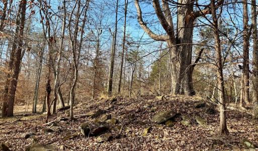 Photo #30 of Salem Road, Schuyler, VA 4.8 acres