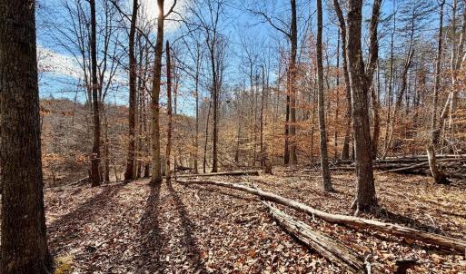 Photo #7 of Salem Road, Schuyler, VA 4.8 acres