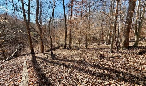 Photo #16 of Salem Road, Schuyler, VA 4.8 acres