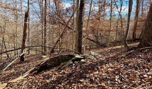Photo #31 of Salem Road, Schuyler, VA 4.8 acres