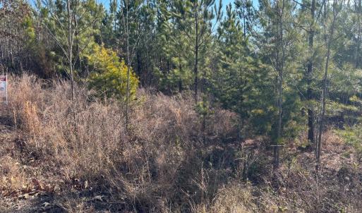 Photo #4 of Mohawk, Long Island, VA 20.0 acres