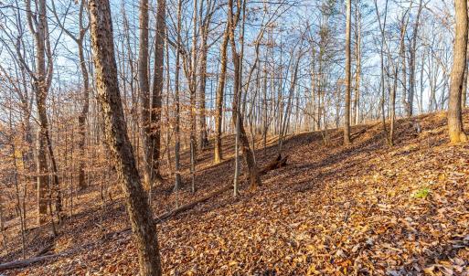 Photo #22 of Lot 15-16 Woodlake Drive, Goodview, VA 4.5 acres