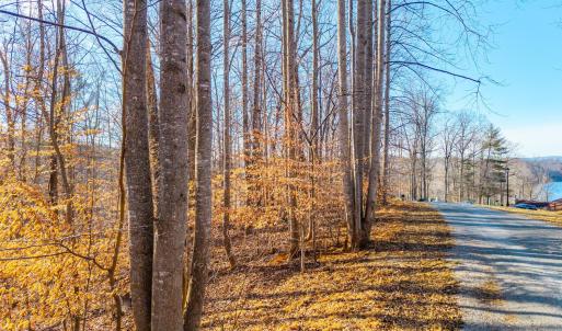 Photo #16 of Lot 15-16 Woodlake Drive, Goodview, VA 4.5 acres