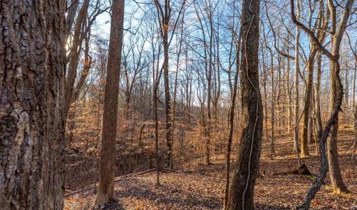 Photo #24 of Lot 15-16 Woodlake Drive, Goodview, VA 4.5 acres